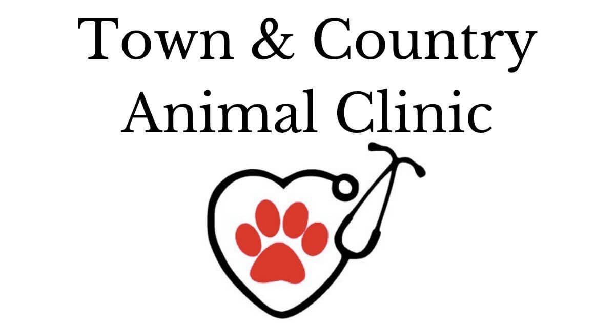 Services - Town & Country Animal Clinic